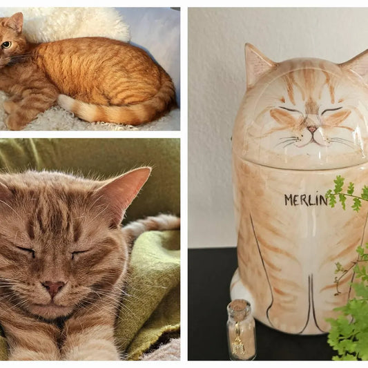 Honoring Your Pet’s Memory: Meaningful Ways to Preserve Their Ashes