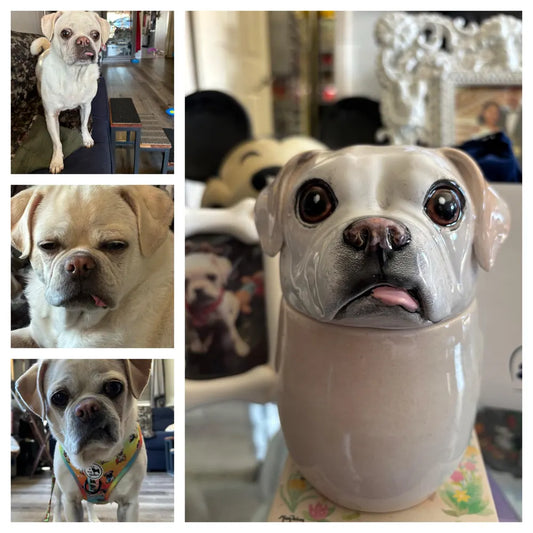 Healthy Ways to Cope with the Loss of a Pet